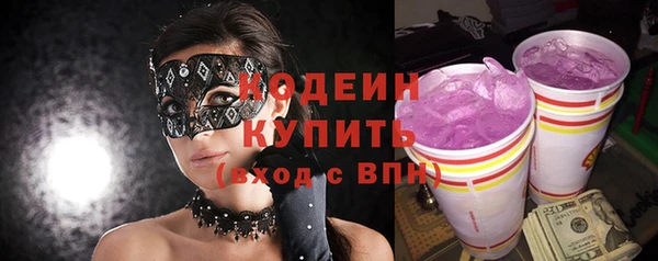 молекула духа Арсеньев