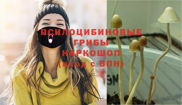 MESCALINE Аркадак