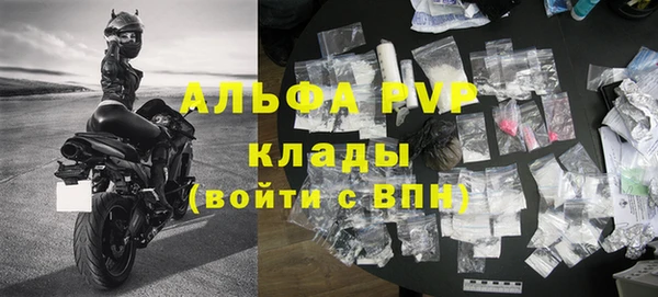 молекула духа Арсеньев