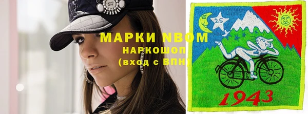 молекула духа Арсеньев